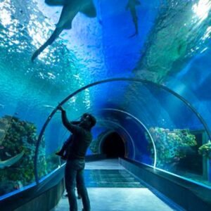 الأكواريوم - الغردقة