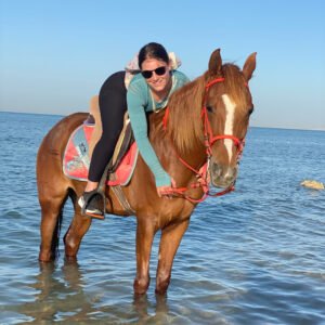 ركوب الخيل - الغردقة